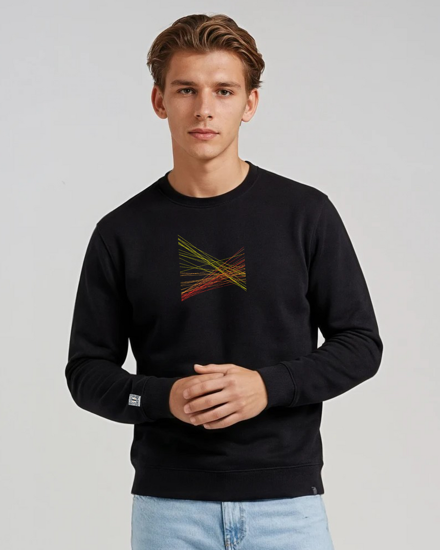 the correlation - embroidered sweatshirt | Gun Laws Visualized