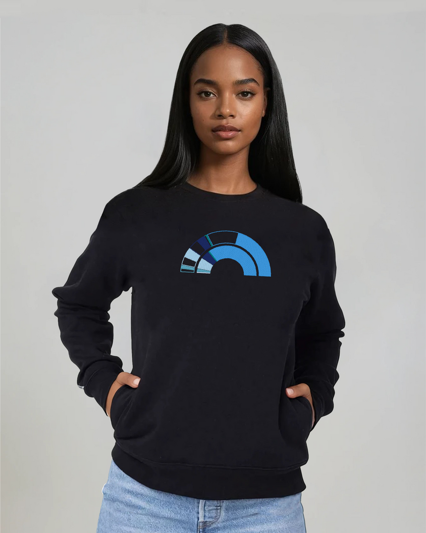 the 119th - embroidered sweatshirt | Civic Engagement Visualized