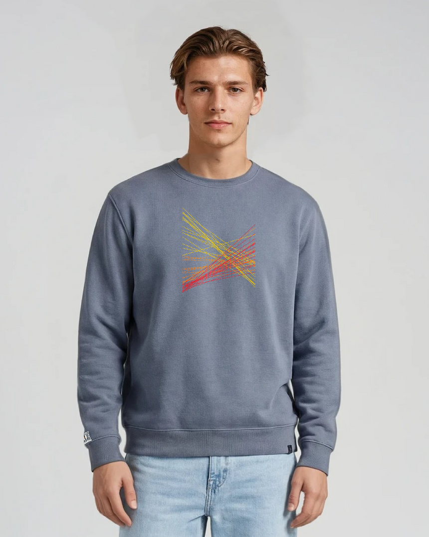 the correlation - printed sweatshirt | Gun Laws Visualized