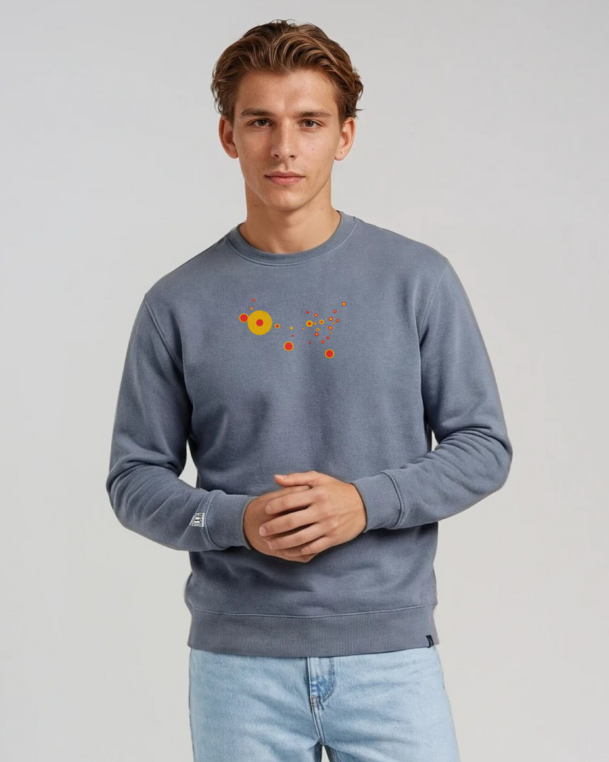 the map - embroidered sweatshirt | State Gun Violence Visualized
