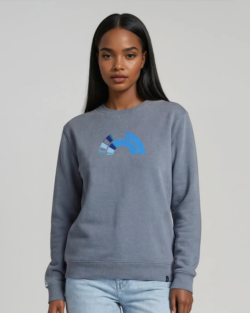 the 119th - embroidered sweatshirt | Civic Engagement Visualized