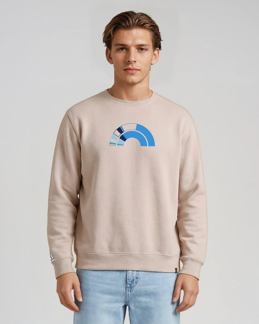 the 119th - embroidered sweatshirt | Civic Engagement Visualized