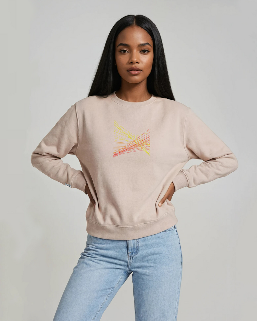the correlation - embroidered sweatshirt | Gun Laws Visualized