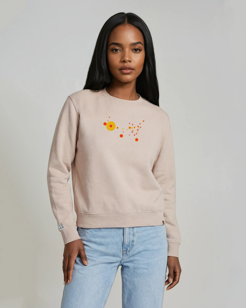 the map - embroidered sweatshirt | State Gun Violence Visualized