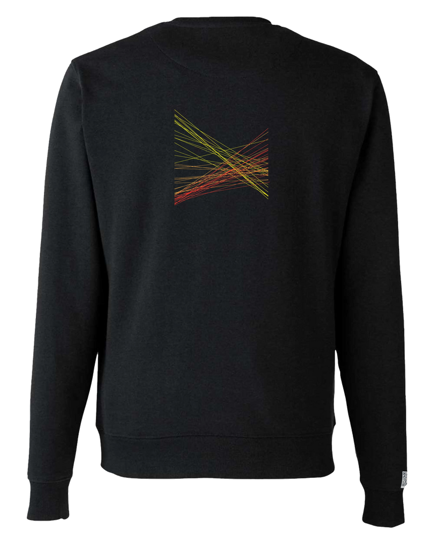 the correlation - embroidered sweatshirt | Gun Laws Visualized