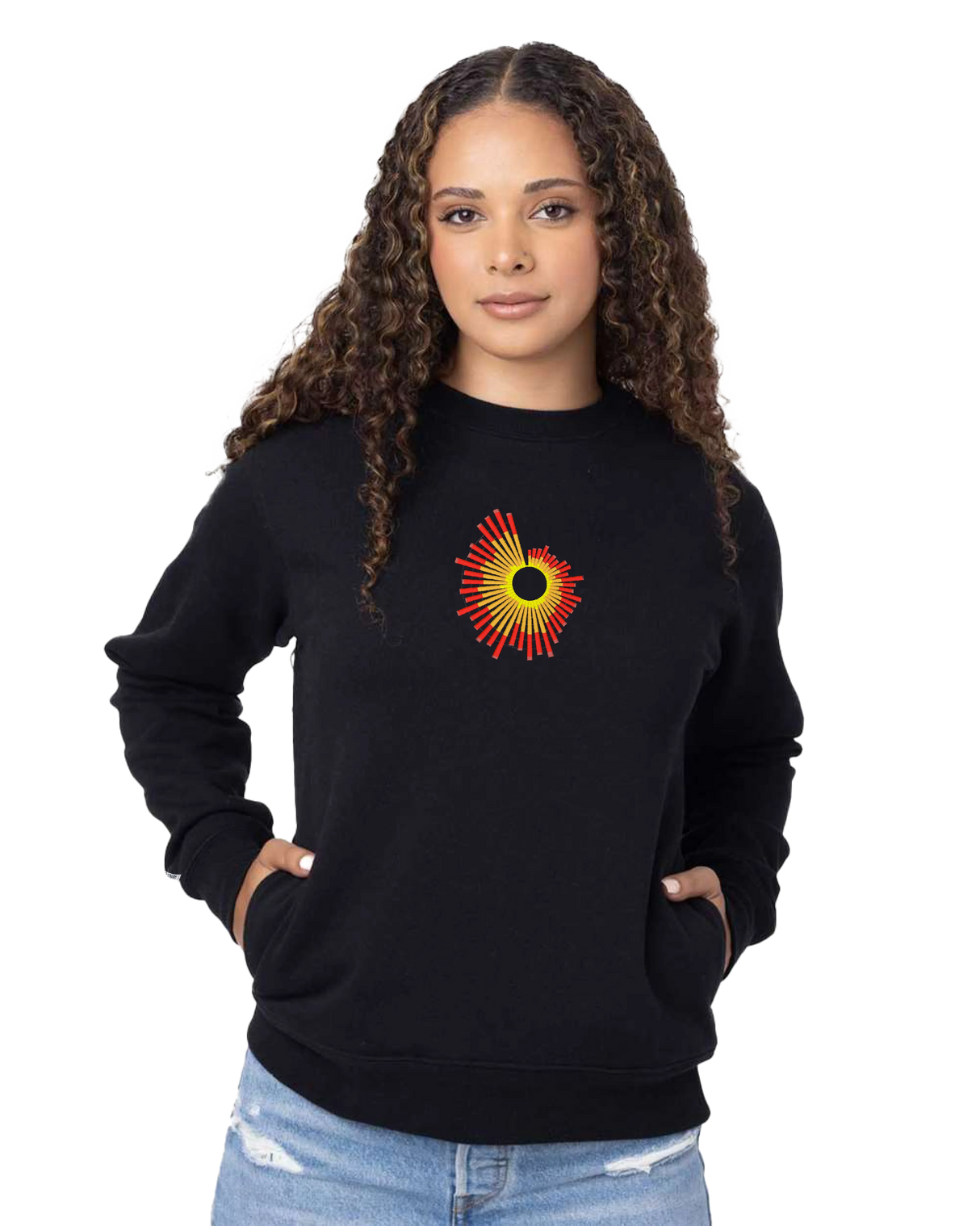the surge - embroidered sweatshirt | Natural Disasters Visualized
