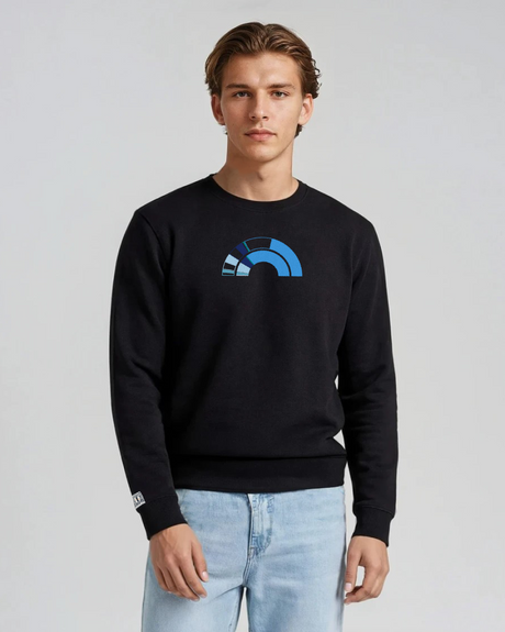 the 119th - embroidered sweatshirt | Civic Engagement Visualized