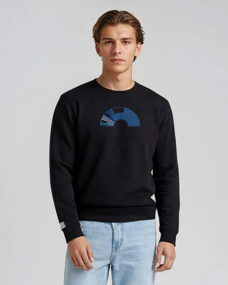 the 119th - printed sweatshirt | Civic Engagement Visualized