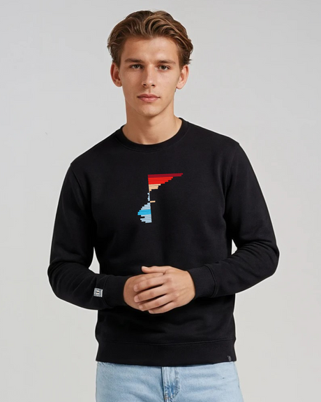 the rise - embroidered sweatshirt | Climate Change Visualized