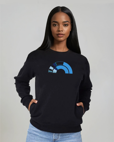 the 119th - embroidered sweatshirt | Civic Engagement Visualized