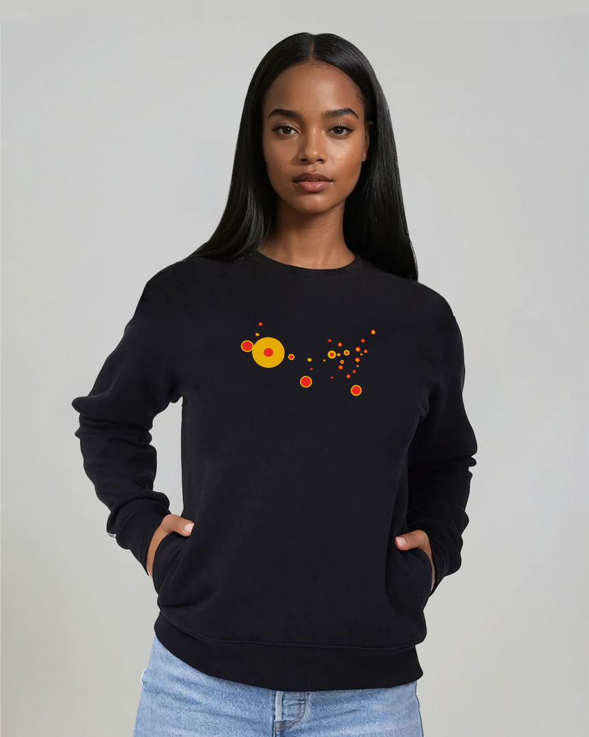 the map - embroidered sweatshirt | State Gun Violence Visualized