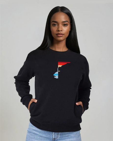 the rise - embroidered sweatshirt | Climate Change Visualized