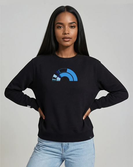 the 119th - embroidered sweatshirt | Civic Engagement Visualized