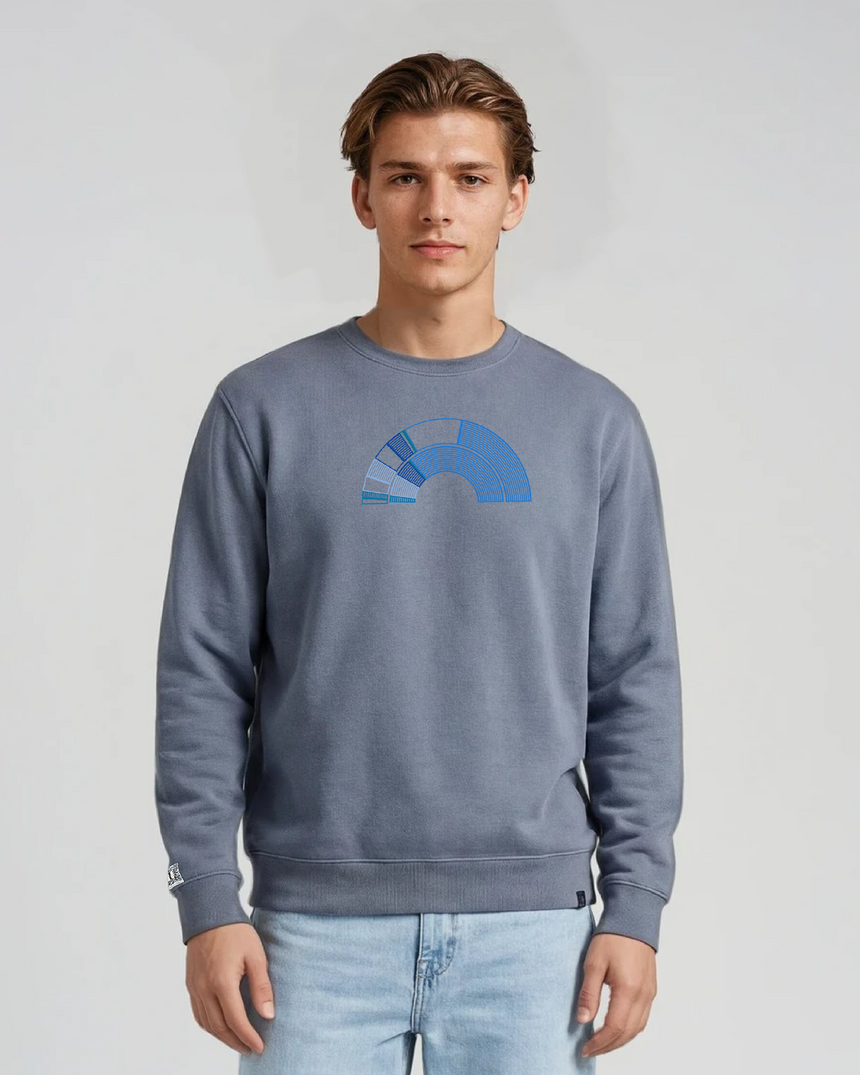 the 119th - printed sweatshirt | Civic Engagement Visualized