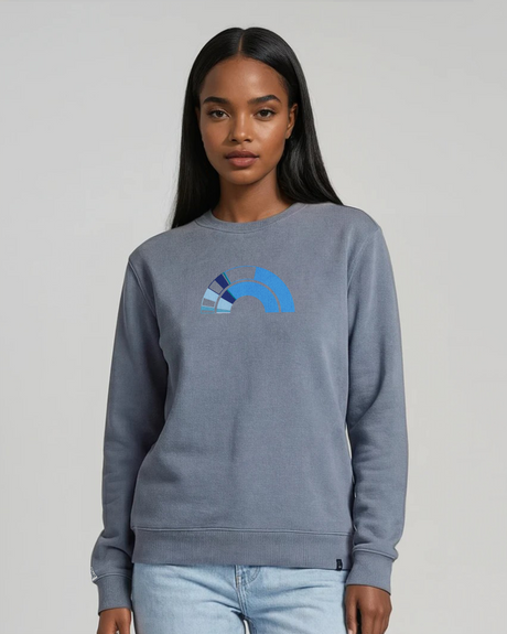 the 119th - embroidered sweatshirt | Civic Engagement Visualized