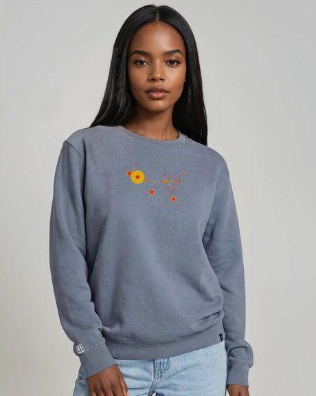 the map - embroidered sweatshirt | State Gun Violence Visualized