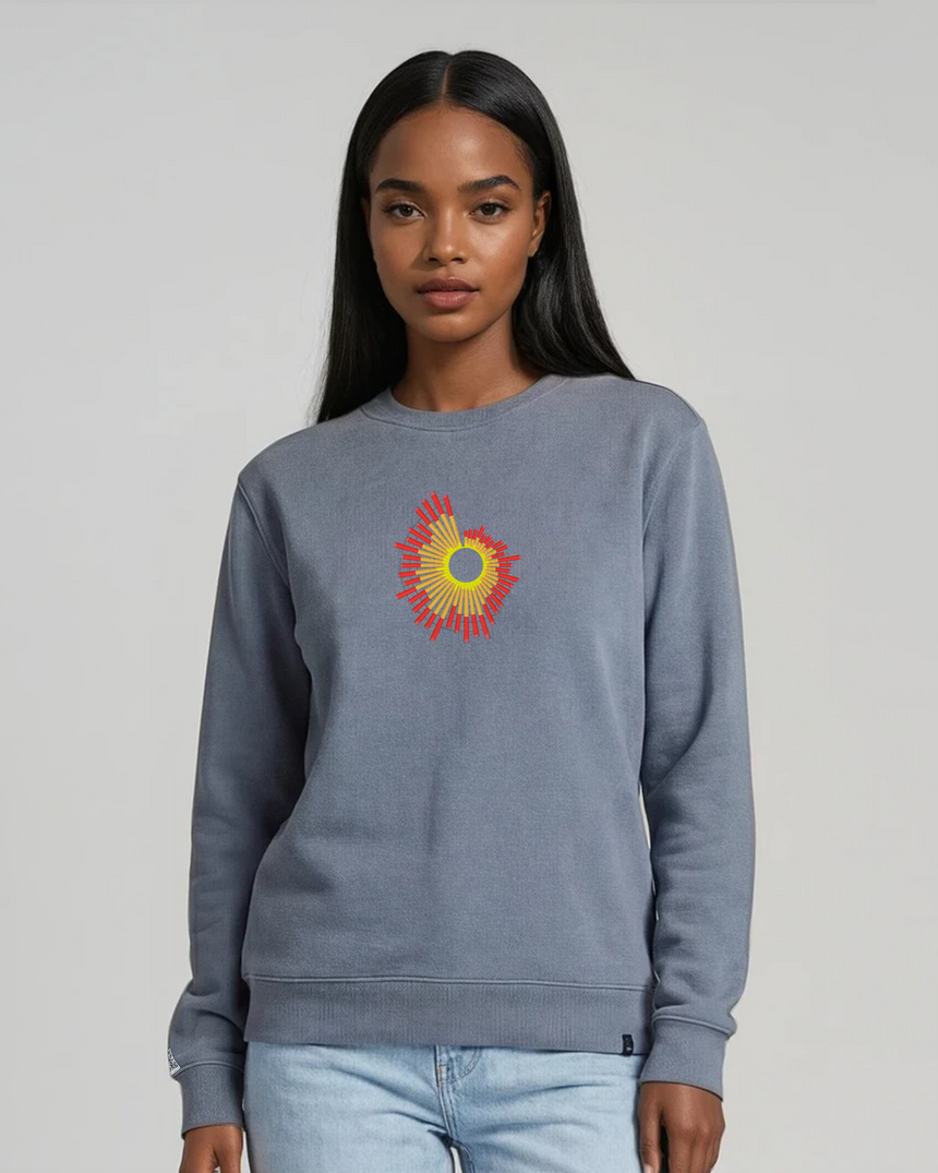 the surge - embroidered sweatshirt | Natural Disasters Visualized