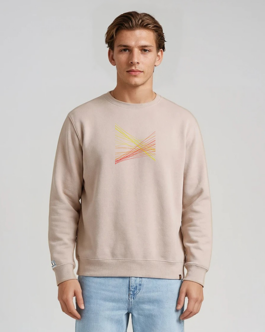 the correlation - embroidered sweatshirt | Gun Laws Visualized