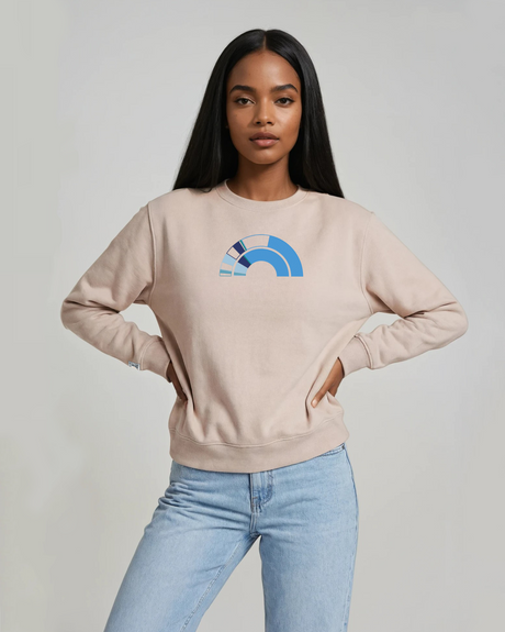 the 119th - embroidered sweatshirt | Civic Engagement Visualized