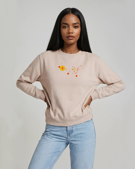 the map - embroidered sweatshirt | State Gun Violence Visualized