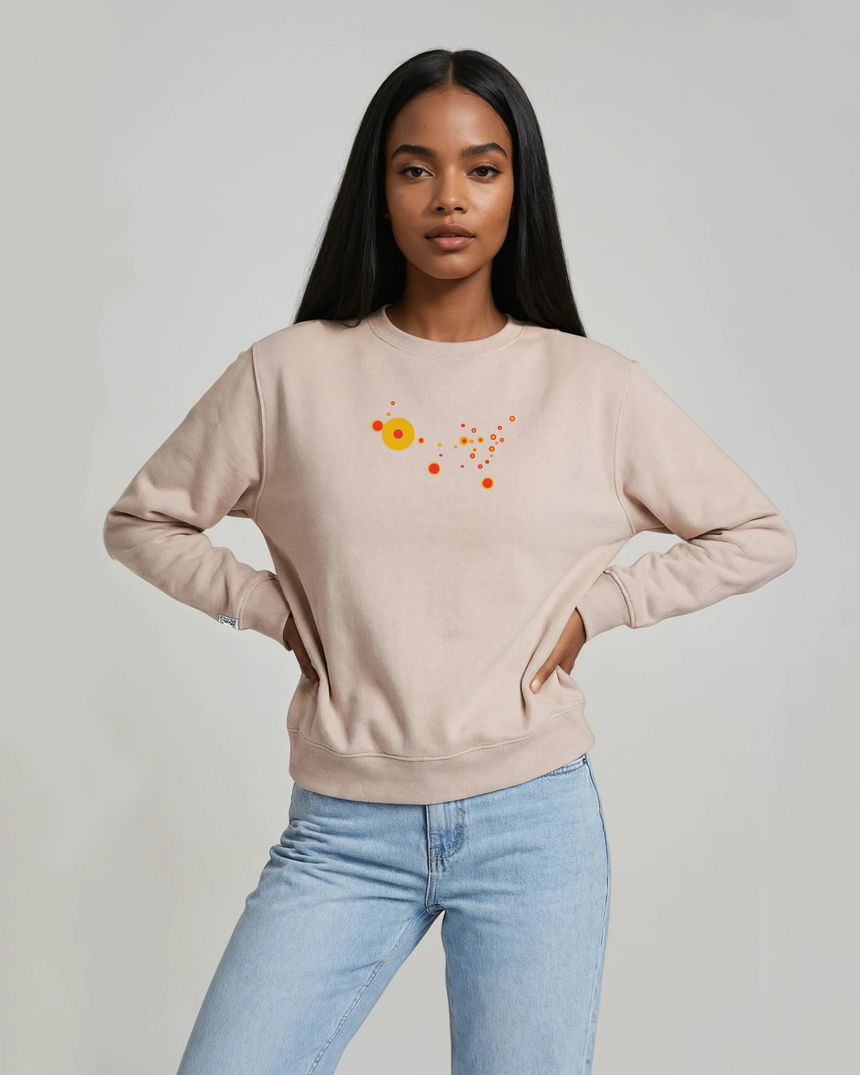 the map - embroidered sweatshirt | State Gun Violence Visualized