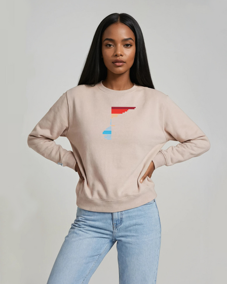 the rise - embroidered sweatshirt | Climate Change Visualized