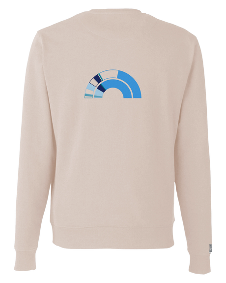 the 119th - embroidered sweatshirt | Civic Engagement Visualized