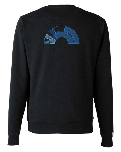 the 119th - printed sweatshirt | Civic Engagement Visualized