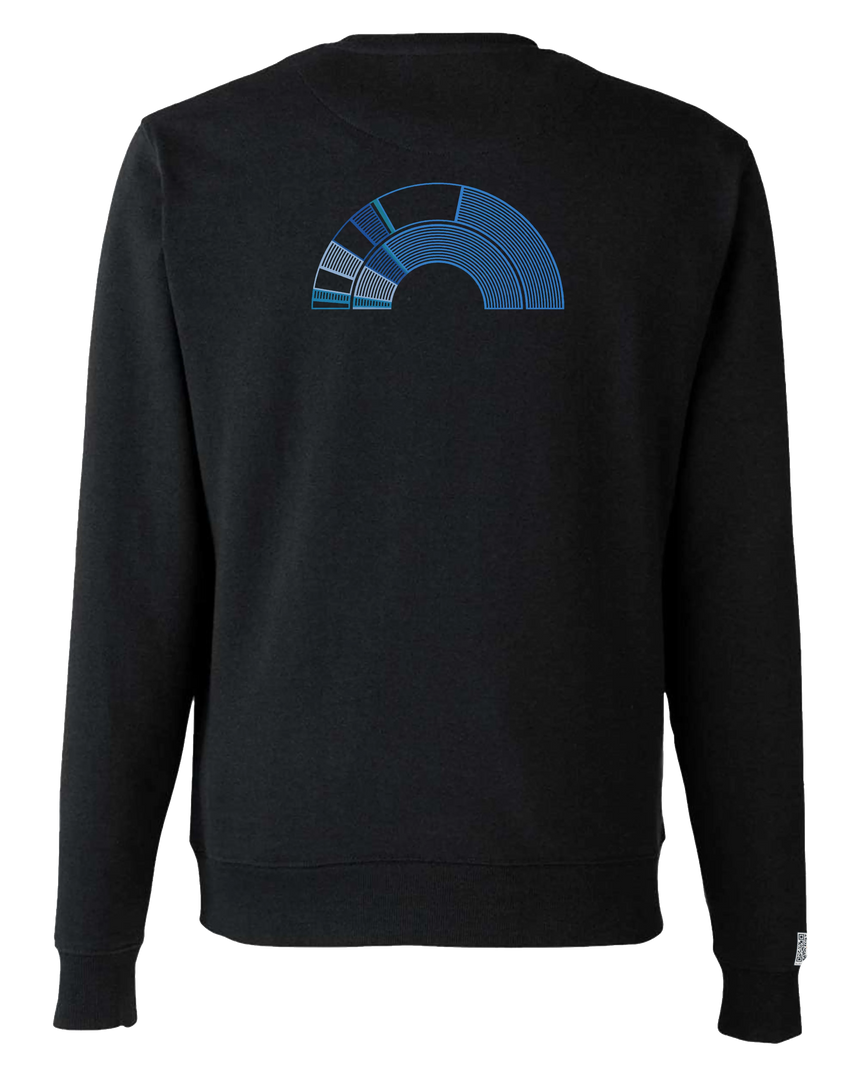 the 119th - printed sweatshirt | Civic Engagement Visualized