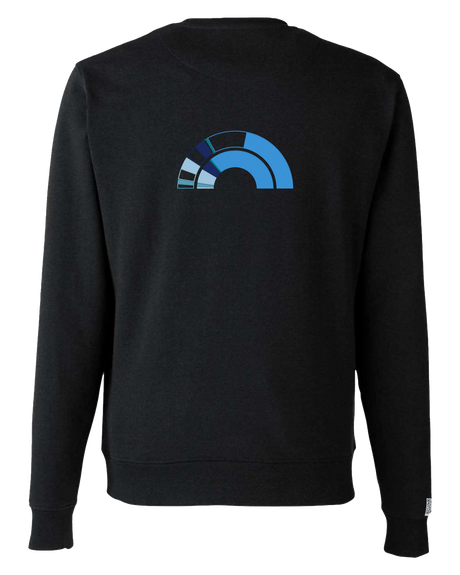 the 119th - embroidered sweatshirt | Civic Engagement Visualized