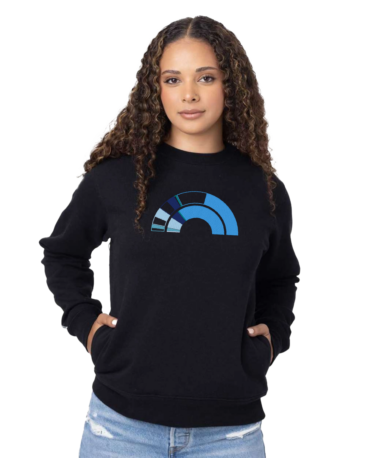 the 119th - embroidered sweatshirt