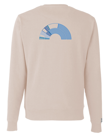the 119th - printed sweatshirt | Civic Engagement Visualized