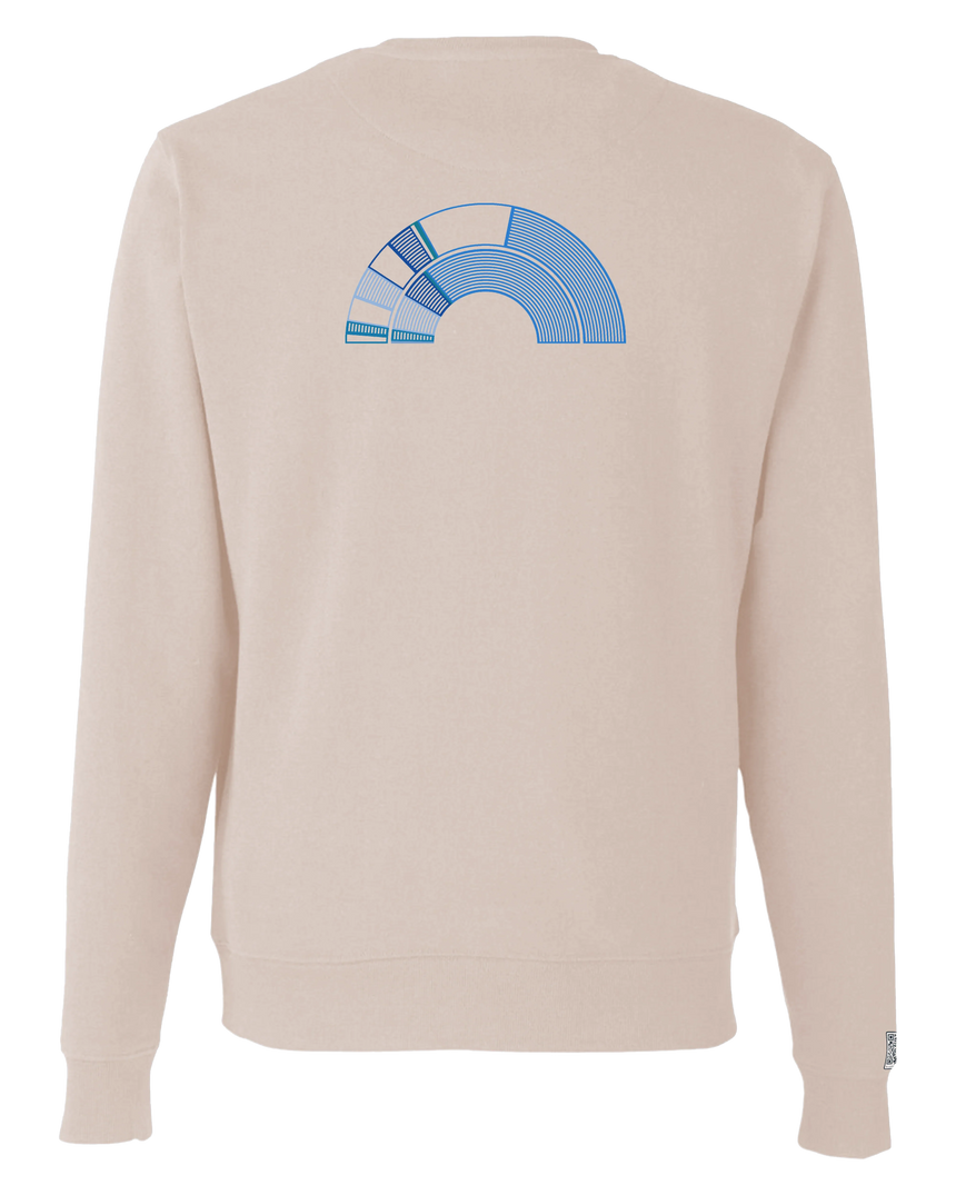 the 119th - printed sweatshirt | Civic Engagement Visualized