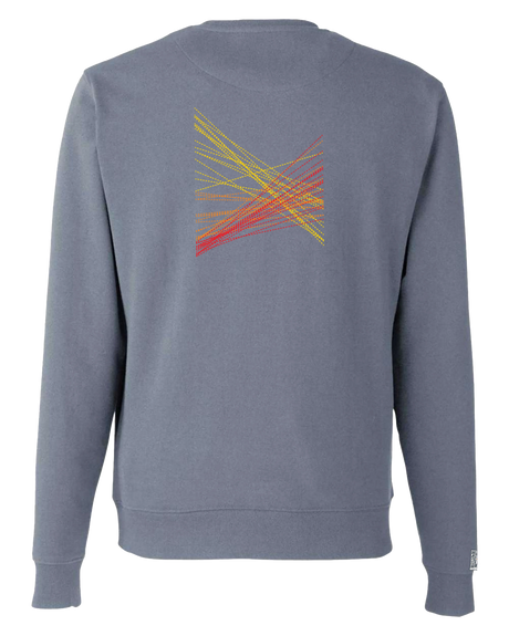 the correlation - printed sweatshirt | Gun Laws Visualized