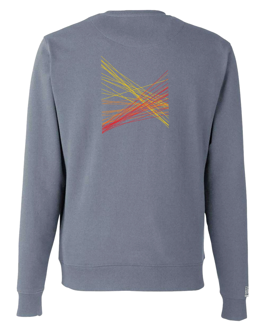 the correlation - printed sweatshirt | Gun Laws Visualized