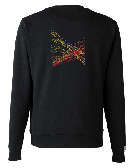 the correlation - printed sweatshirt | Gun Laws Visualized