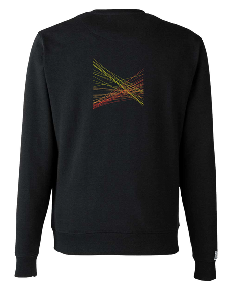 the correlation - embroidered sweatshirt | Gun Laws Visualized