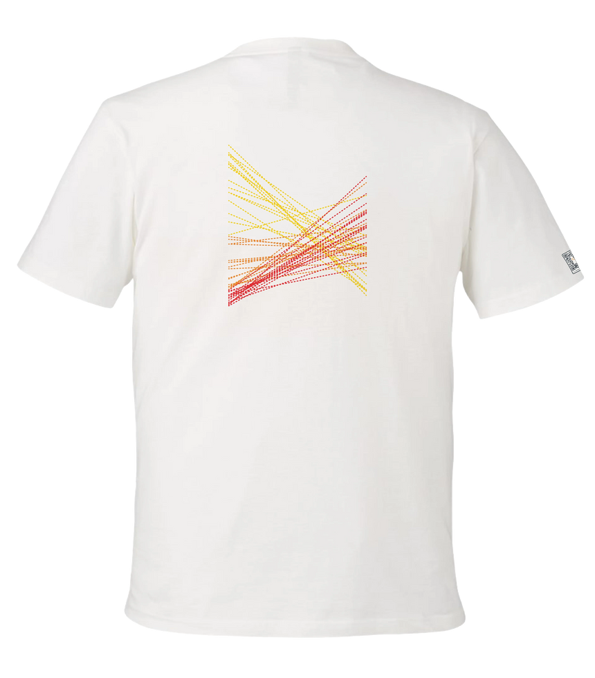 the correlation - printed shirt | Gun Laws Visualized