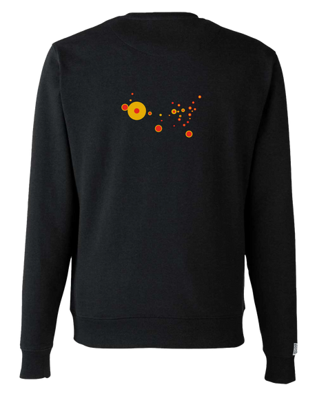 the map - embroidered sweatshirt | State Gun Violence Visualized