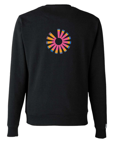 the pride - embroidered sweatshirt | LGBTQ+ Laws Visualized