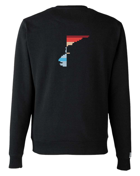 the rise - embroidered sweatshirt | Climate Change Visualized